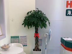 -海之声助听器(武宁南路店)