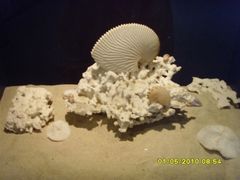 -亚龙湾中心广场·贝壳馆