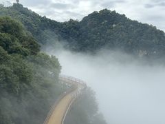 -少华山国家森林公园
