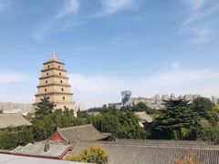 -大雁塔北广场音乐喷泉