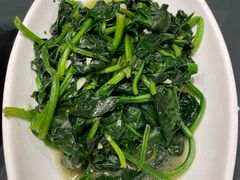 清炒菠菜-艳阳天(万达广场红标店)