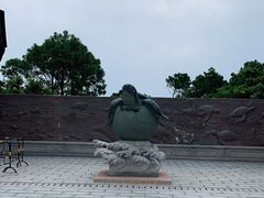 -广东惠东海龟国家级自然保护区