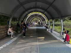 -人民公园-相亲角