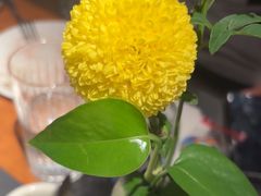 -拉蒂娜·巴西牛排馆 Latina·Brazilian Steakhouse(王府井喜悦店)