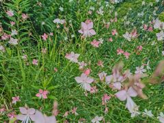 -苏州河梦清园环保主题公园