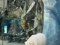 -珠海长隆海洋王国
