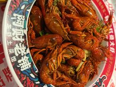 -阿财老铺·老蚌埠龙虾城(华夏总店)