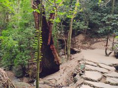 -七仙岭温泉国家森林公园