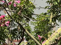 -福道