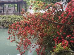 -杭州黄龙洞