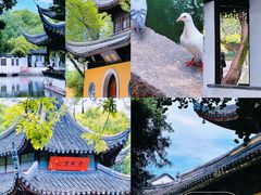 -西园寺