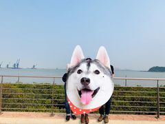-南沙天后宫景区