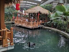 -南宫五洲植物乐园