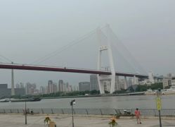 -花嫁丽舍婚礼殿堂(世博江景店)
