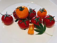 番茄脆爽沙拉-潮上潮(南中环店)