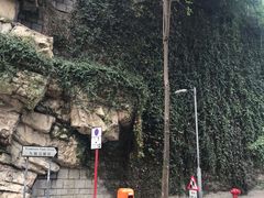 -九龙公园