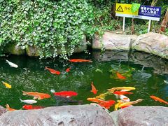 -大连老虎滩海洋公园