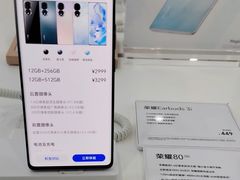 -荣耀授权专卖店(黄浦浙江中路店)