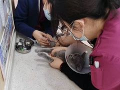 -美联众合动物医院·24h京西诊疗中心