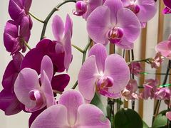 -广州神农草堂中医药博物馆
