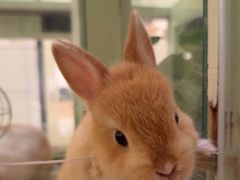 -龙猫仔乐园(惠福东路店)