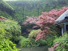 -中国茶叶博物馆(双峰馆区)