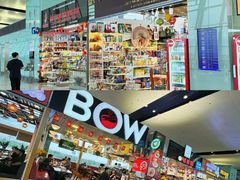 -河内内排国际机场