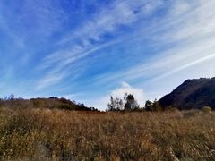 -白草畔自然风景区