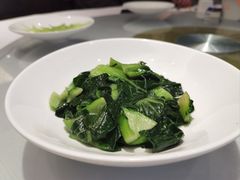 -席家花园(巨鹿花园店)