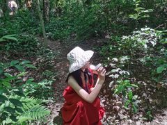 -青龙山国家森林公园