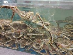 -宝燕海货工场(长江国际店)