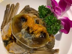 -王宝和酒家(黄浦店)