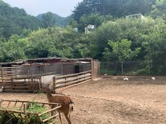 -北京山里寒舍度假酒店