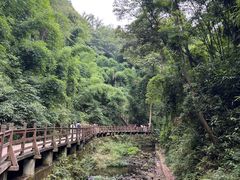 -凤栖山