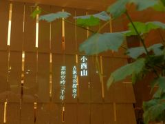 -二酉书店TOYOU BOOKS