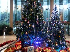 -成都世纪城假日酒店-西楼