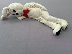 -金泽21世纪美术馆