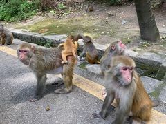 -黔灵山公园