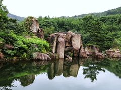 -白马涧龙池景区