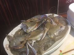 -比巴卜自助烤肉餐厅(新朝阳商业广场店)