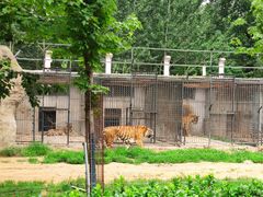 -秦皇岛野生动物园