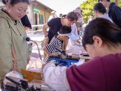 -苏州太湖西山岛开心农场