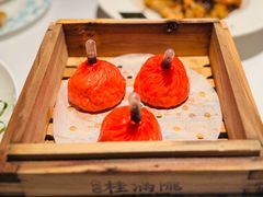 -桂满陇·海市蜃楼·黑金(国金店)