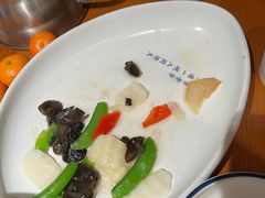 -宋小谨(惠安禹洲店)