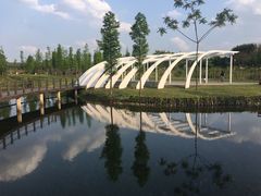 -眉山湿地公园(东坡区)