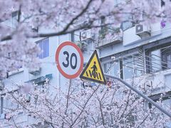 -永乐路-路侧停车场