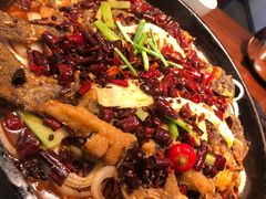 老板恋上鱼-老板恋上鱼(振华商厦店)