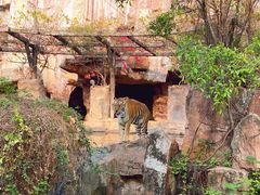 -长鹿旅游休博园