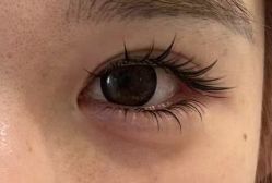 -七岛美学