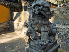 -普陀山风景名胜区-法雨禅寺